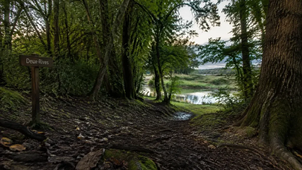 Balade le long du Rhin à Strasbourg : sentier près des prairies et du Rhin