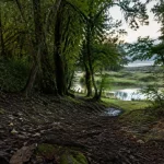 Balade le long du Rhin à Strasbourg : sentier près des prairies et du Rhin