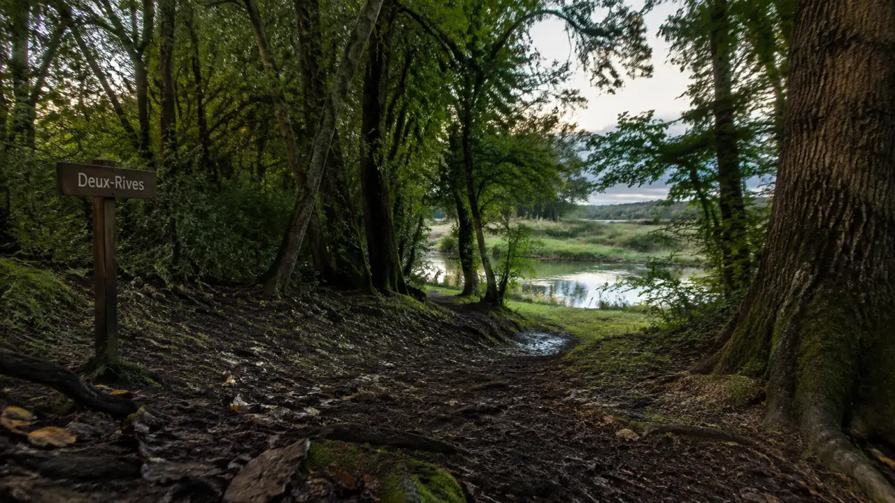 Balade le long du Rhin à Strasbourg : sentier près des prairies et du Rhin