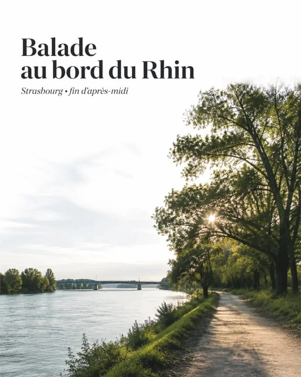 Balade le long du rhin strasbourg au bord de l’eau, avec sentier, arbres et ambiance nature près de Strasbourg